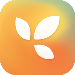 Bloom Social logo depicting three petals extending to the right over an orange and yellow gradient background.